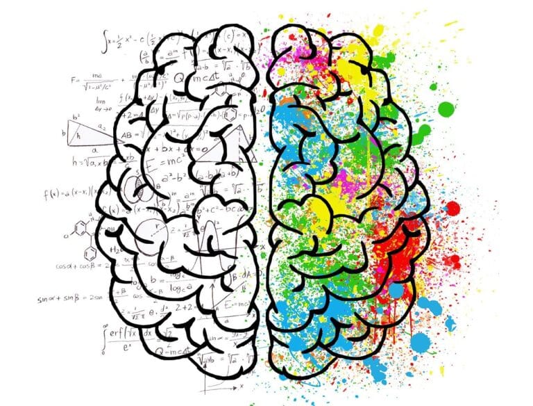 A brain illustration split into two halves, with one side showing mathematical equations and formulas, representing logic and analytical thinking, and the other side bursting with colorful splashes, symbolizing creativity and imagination. This image visually reflects different personality types and how they relate to various social games, emphasizing the blend of logic, creativity, quick thinking, and fun as discussed in the article.